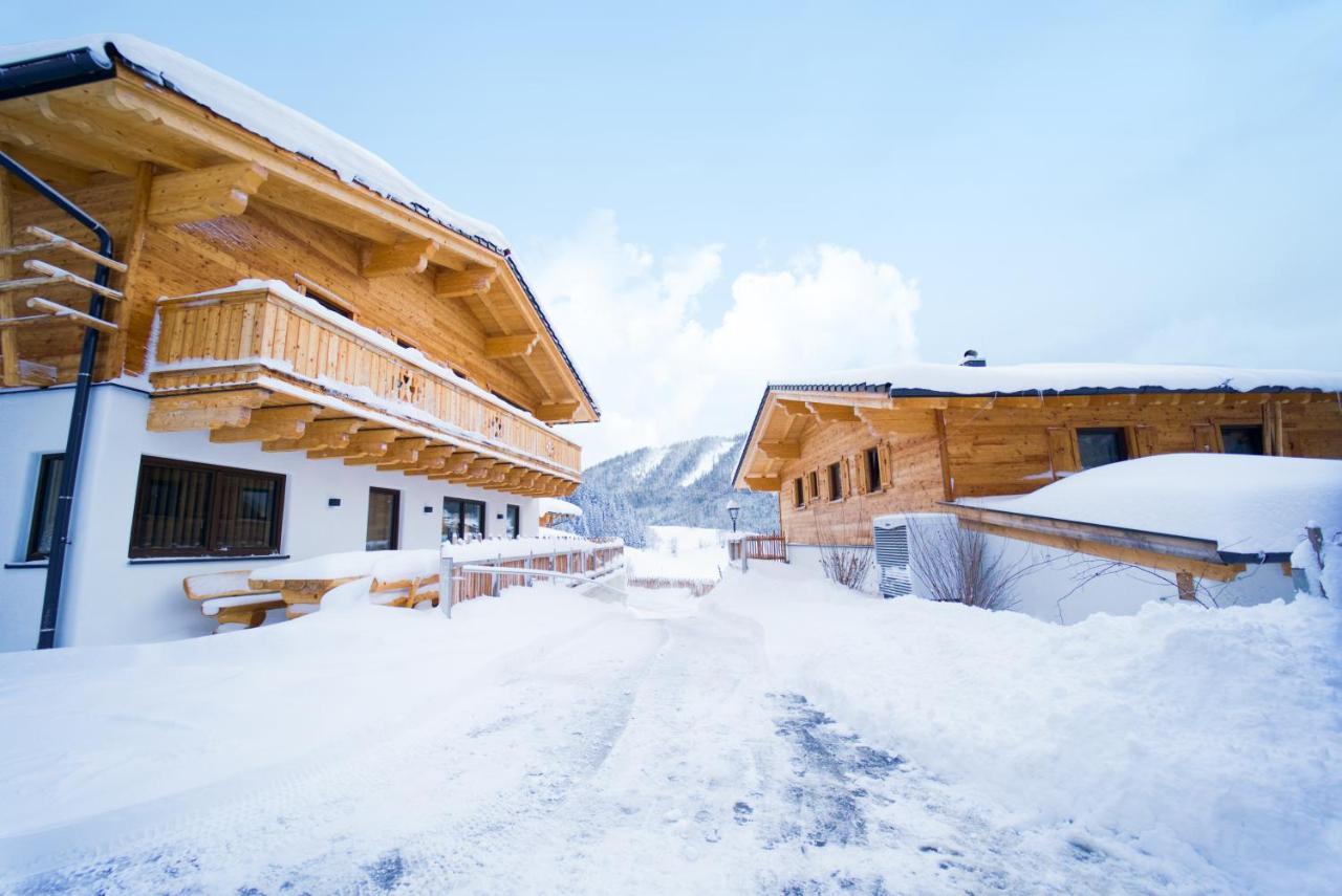 Villa Almdorf Auszeit Fageralm Forstau  Exterior foto